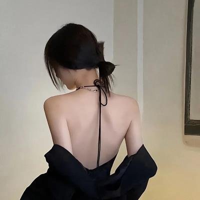 燕子盗